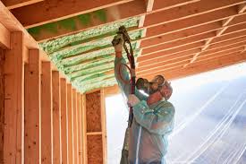 Best Insulation for New Construction  in Umatilla, FL